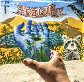 Oasis de Tolú